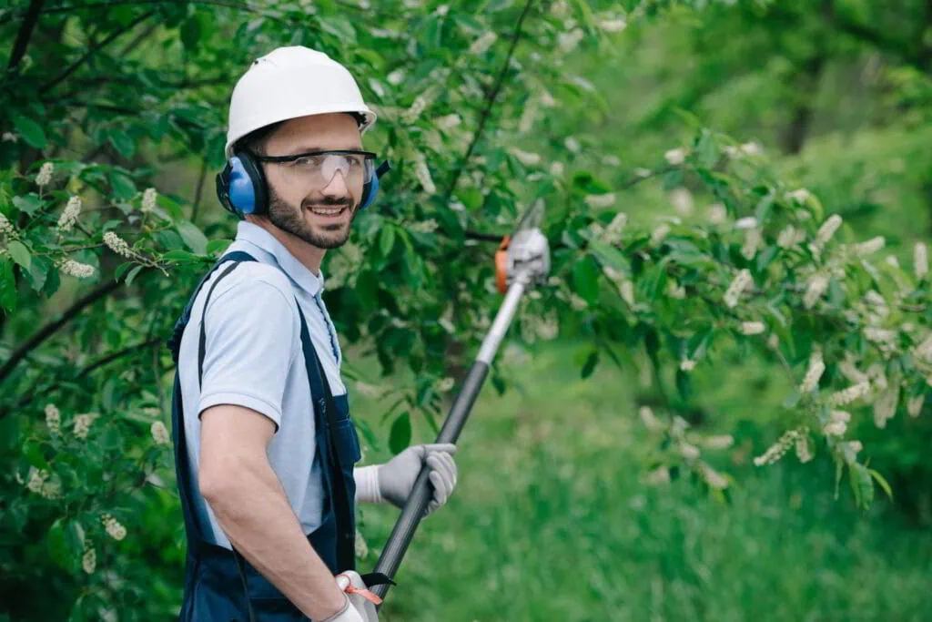 Tree Service in Asheville: Precision Arbor Care