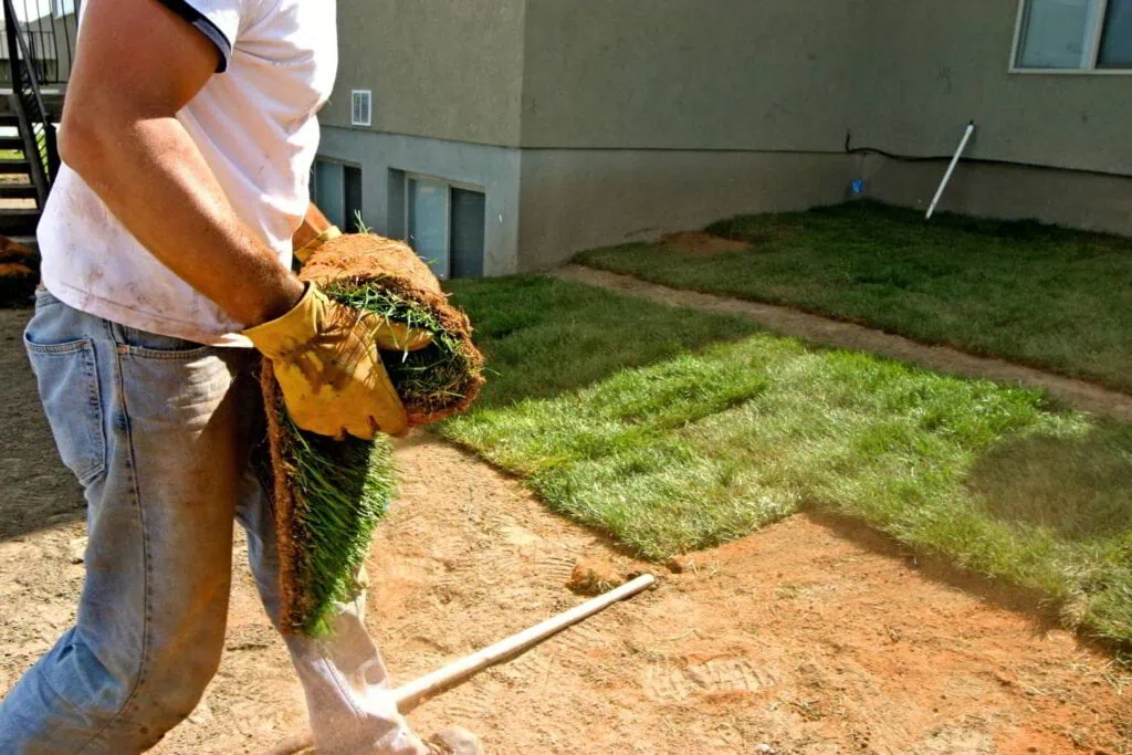 landscaper laying sod