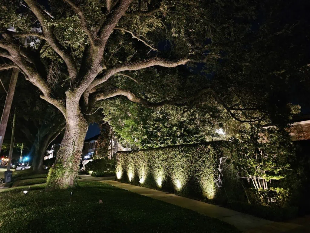 Garden and Tree Lighting to Enhance Natural Features