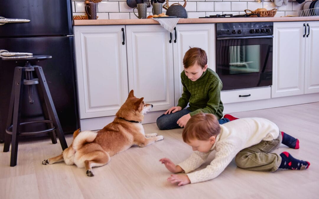Families with young children and pets praise their waterproof flooring